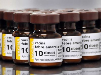 vacina febre amarela